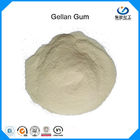 Thực phẩm chất lượng cao Cấp Acyl / Low Acyl Gellan Gum để sản xuất đồ uống