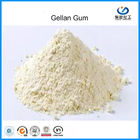 Thực phẩm chất lượng cao Cấp Acyl / Acyl Gellan Gum cao EINECS: 275-117-5