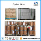 Nhỏ Gellan Gel Gum Thực phẩm Lớp kem Màu trắng CAS No 71010-52-1 Sản xuất thịt