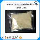 Nhỏ Gellan Gel Gum Thực phẩm Lớp kem Màu trắng CAS No 71010-52-1 Sản xuất thịt