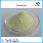 Thực phẩm chất lượng cao Cấp Acyl / Low Acyl Gellan Gum để sản xuất đồ uống