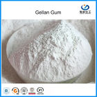 Sản xuất thịt Phụ gia thực phẩm cao Acyl Gellan Gum với liều lượng thấp