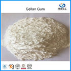 Cream White High Acyl Gellan Gum Powder Food Food Food Food Thực phẩm CAS 71010-52-1