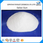 Odorless Low Acyl Gellan Gum Powder Phụ gia thực phẩm Kem Màu trắng