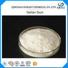Acyl Gellan Gum Powder CAS 71010-52-1 với Halal Kosher được chứng nhận