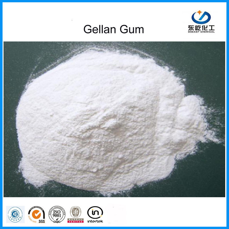 CAS 71010-52-1 Gellan Gum Powder High Acyl / Low Acyl Food Lớp sản xuất sữa